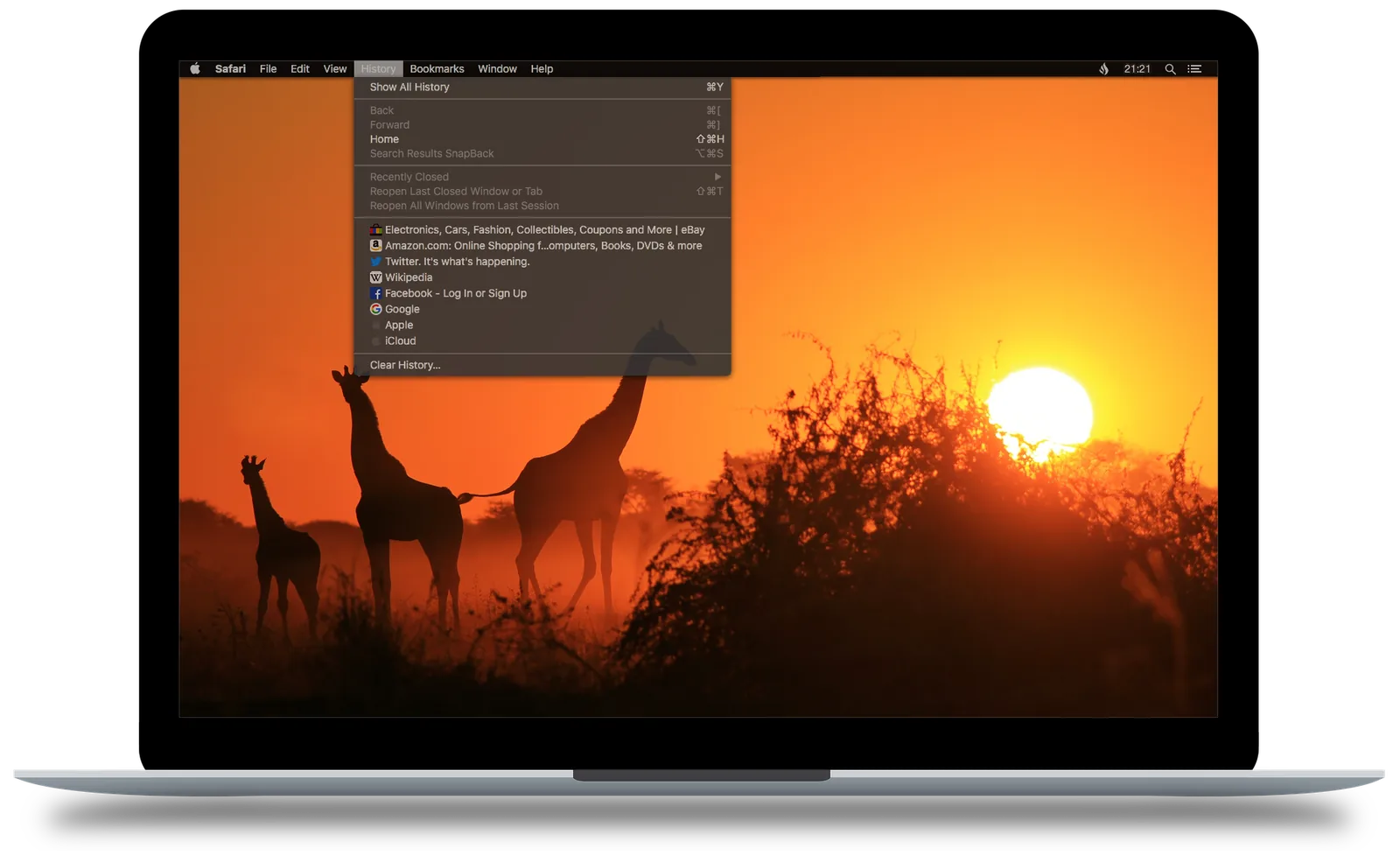 Safari history menu full of visited websites